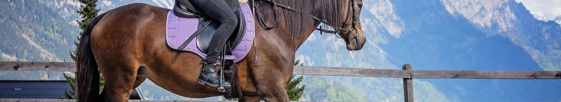 Quelle tenue porter pour monter à cheval ?